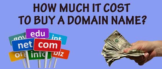  How Much It Cost To Buy A Domain Name In 2024 