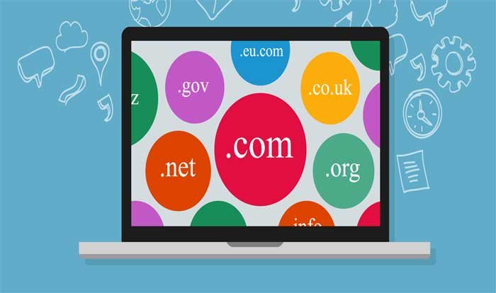 How To Find Who Owns The Domain Name In 2021 WebToolsOffers