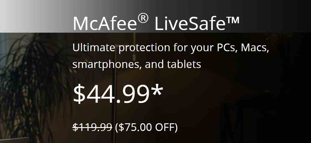 McAfee Discount