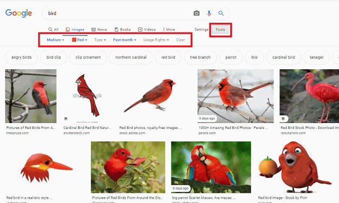 Advance Image Search Option 1